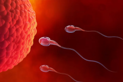 徐州做三代试管生'男'孩25万够吗？附费用明细与安全性解析