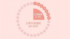 移植周期怎么选？月经周期可以用作参考！