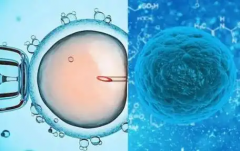 58岁尝试试管能否成功？这篇文章给你答案！