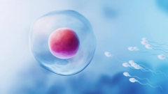 内蒙古三代试管生'男'孩医院有哪些？附2024年生'男'孩医院排名与费用参