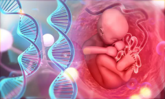郑州私立医院三代试管费用揭秘：做好预算的必看指南！