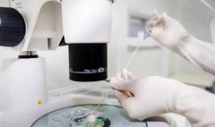 长沙试管医院排名TOP榜，成功率、费用全攻略！