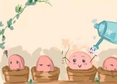 卵泡萎缩：试管成功率的隐形杀手？