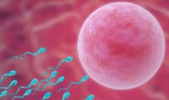 试管促排揭秘：果纳芬并非唯一选择