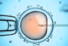 北京有做试管的医院吗？北京做试管私立医院排行榜前十！