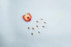 杭州三代试管医院前十榜单大放送，选医院不再迷茫！