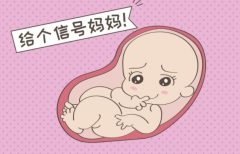 泰国试管成功率有多高？最新数据大揭秘！