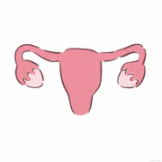 双角子宫做试管有风险吗？听听医生怎么说：选对医院很关键！