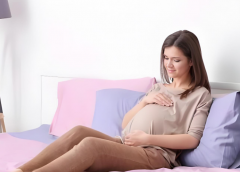 2024珠海试管医院排名前十，附成功率及费用介绍