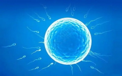 南昌三代试管医院排行揭晓，精选十佳医院！