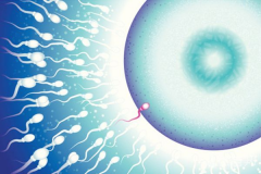 长沙三代试管好医院大盘点，备孕必看参考清单！