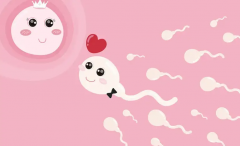 外国朋友能否在中国捐精？有这些条件喔