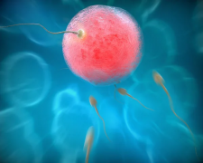 杭州三代试管医院推荐：2024年杭州排名前几的试管医院大揭秘