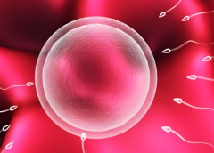 长沙三代试管技术费用揭秘：生'男'孩的全面费用分析！