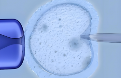 山西三代试管能否包生'男'孩？费用多少一次讲清！