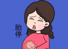 孕妇需警惕胎停，应该多吃这些食物！