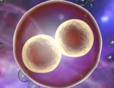 促排针与FSH：升高背后的真相与应对