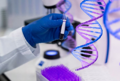 南昌私立三代试管生'男'孩/女孩费用与成功率全解析：性别选择与成功