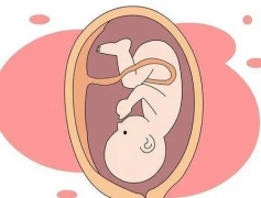 合肥私立试管医院排行榜新鲜出炉，口碑实力双在线！