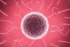 济南优秀试管机构大揭秘，家家都值得信赖！