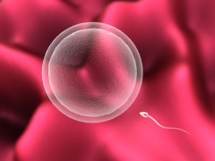 国内可以做三代试管的医院有哪些？想做三代试管，这些医院值得优先