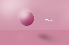 男性朋友们应该如何调养身体，才能提升精子质量呢？全面解析精子养