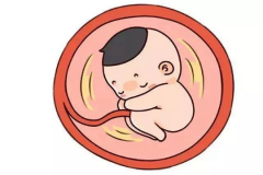 2025年泰国无需结婚证试管医院成功率排行榜大公开！为您精选最高效、