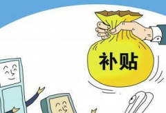 申请试管补助的条件是什么？成功率高吗？你需要了解的全部信息！