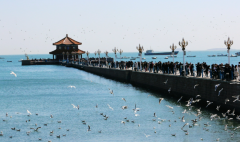 青岛有三代试管医院吗？真实情况其实是这样！