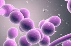 念珠菌感染怎么办？用三种方法可以对抗