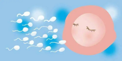 探究冻胚解冻失败背后的原因：全面了解，为试管之路扫清障碍