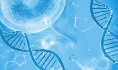 如何在国内到国外进行单身试管治疗？安全性、私密化疗程全解析！