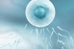 福州第三代试管医院大盘点：热门医院名单来袭，带你一探究竟！