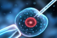 西安试管医院知名榜单大揭秘：这份精选名单你绝不能错过！