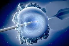 冻胚移植三天后，若有这些感觉，成功好孕或已不远！快来看看你是否