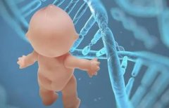 【生育新知】2024年第三代试管费用揭秘：5-10万，您的助孕预算够了吗？