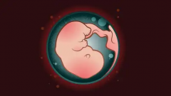 2024年广州三代试管费用标准大公开！快速了解最新价格，助你轻松规划