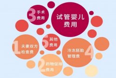肇庆一代试管费用知多少？详细费用清单来了！