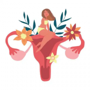 双子宫的女性进行试管，能否成功怀上双胞胎？详细解答您的疑问