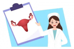 深入解析安琪坦与琪宁之间的区别，帮助消费者更好地选择适合自己的