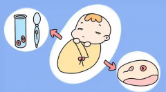 沈阳试管成功率与价格全攻略，一篇文章帮你搞定所有信息，收藏这篇