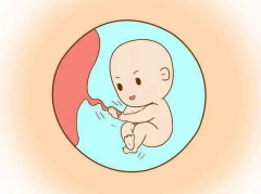 泰国三代试管医院哪家强？这5家医院值得参考，让你轻松找到最佳生育
