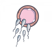 黑龙江地区提供三代试管技术的医院有哪些？全面盘点与介绍