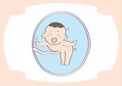 试管技术下，生育龙凤胎的具体费用是多少？全面解析与费用预估