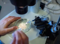 高龄女性做三代试管容易早产？真实情况并非如此