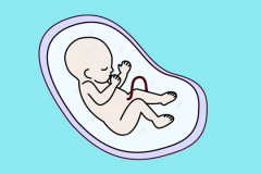 单身女性是否可以选择进行试管技术来实现生育愿望？