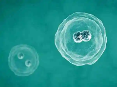 移植冻囊胚后为什么脸上脱皮了？盘点常见原因