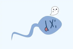 男性死精患者能做试管吗？成功率一般有多少？
