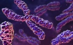 子宫瘢痕妊娠：原因、风险评估与早治疗的重要性！