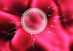 高龄试管如何提高卵子质量？这些方法让你更有信心！